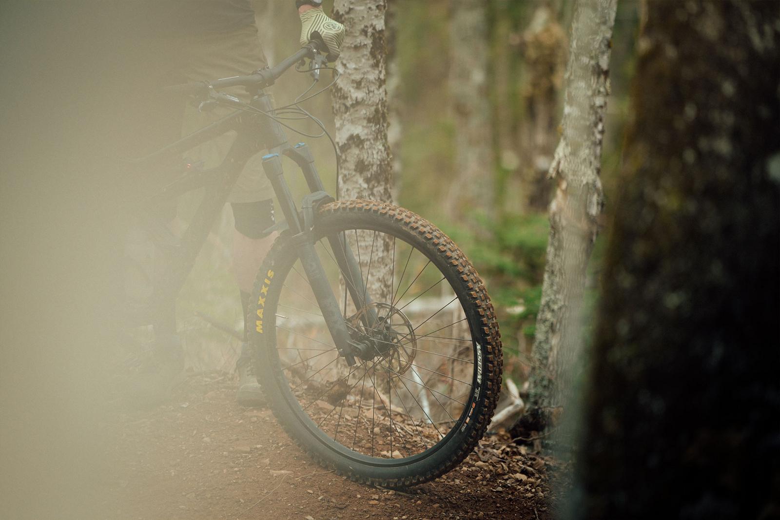 Bild eines Mountainbikes im Wald